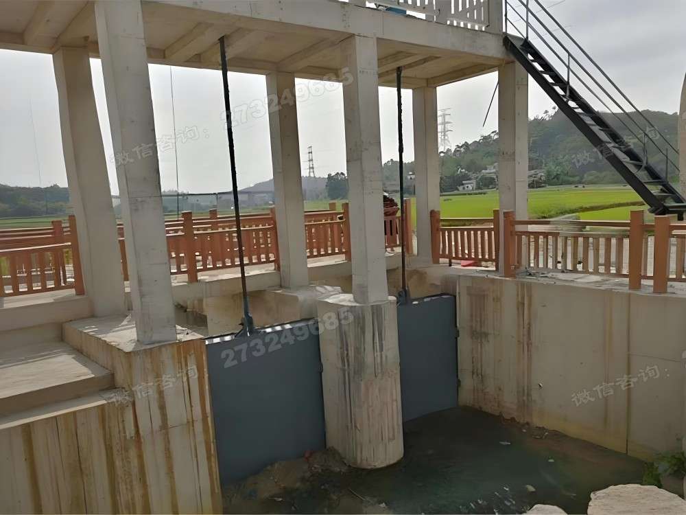 电白县农田渠道泵站闸门