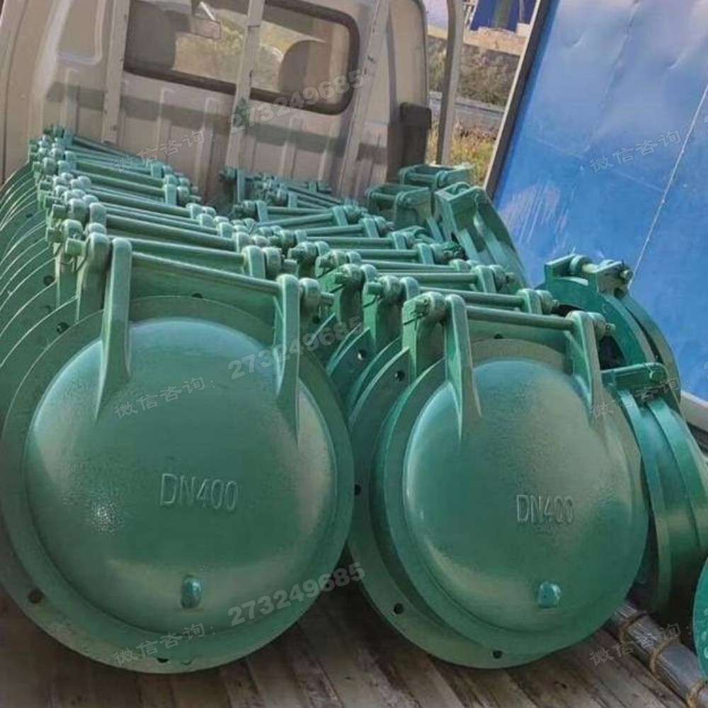 黑河DN400玻璃钢拍门