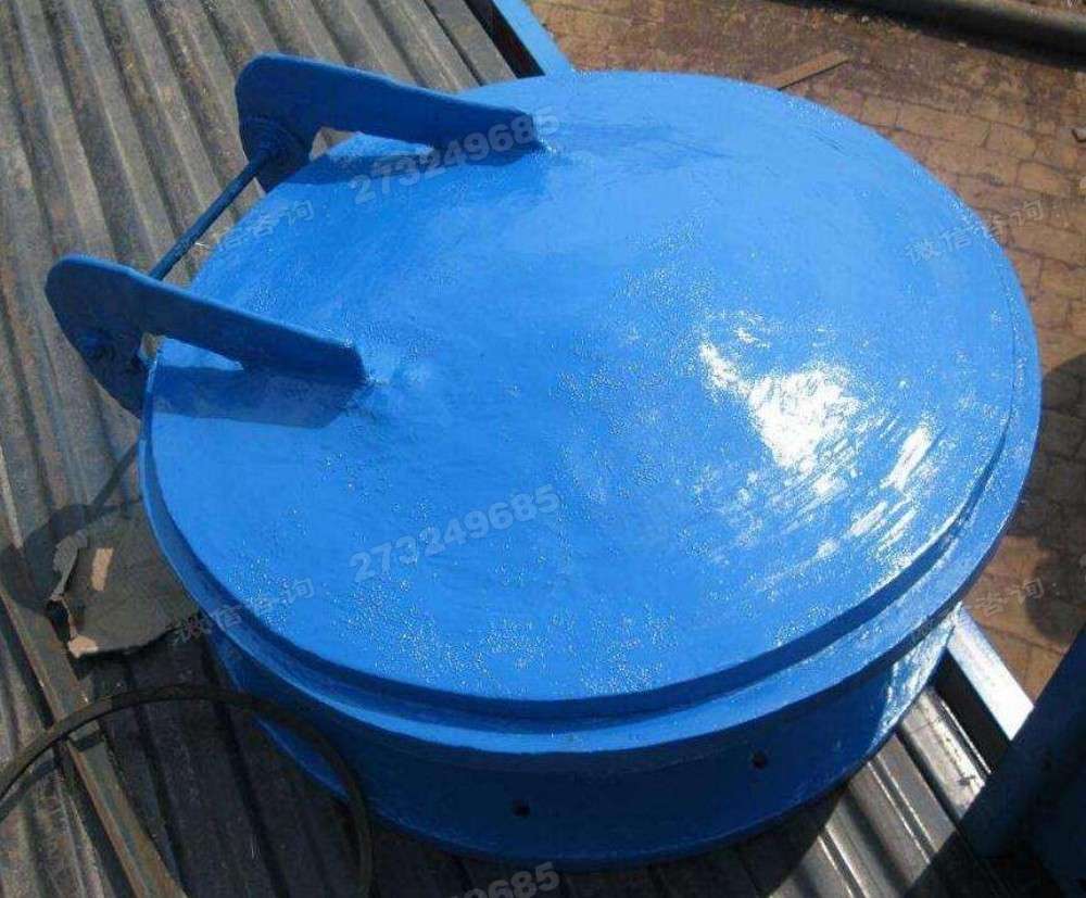 昌邑蓝色单开拍门