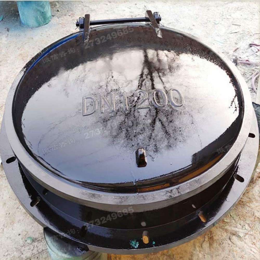 贺兰县黑色DN1200玻璃钢拍门