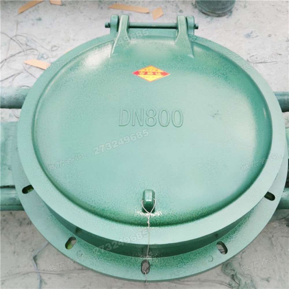 江洲DN800玻璃钢拍门
