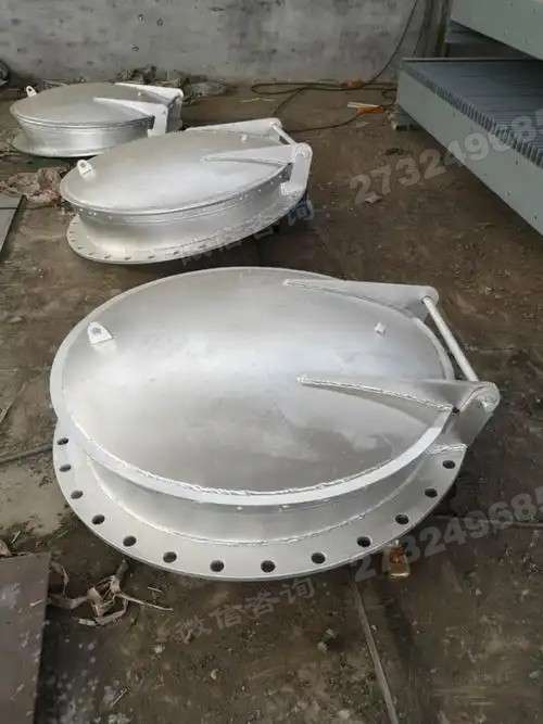 龙潭大口径不锈钢拍门