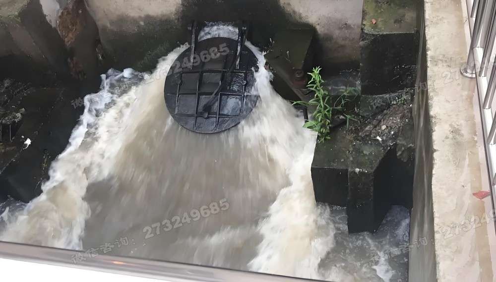 椒江工业排水拍门