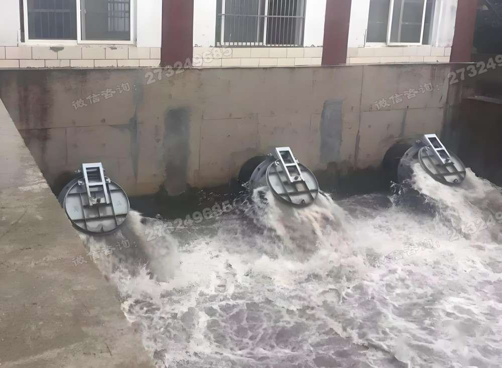 肥乡三联排水拍门