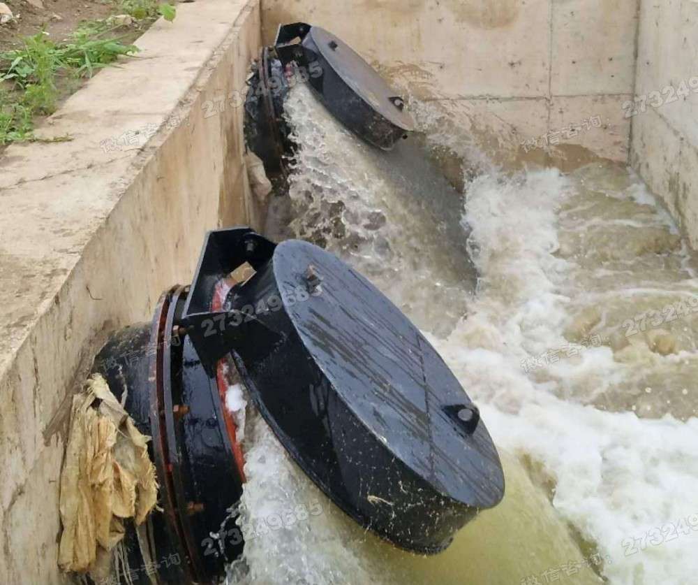 雨花台黑色铸铁管道拍门