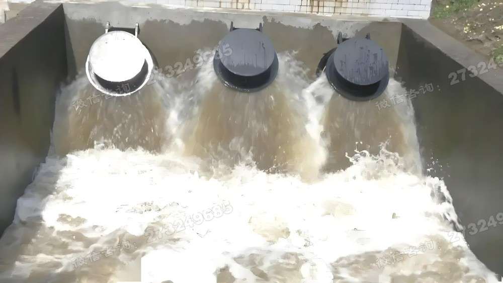 大新县泵站排水拍门