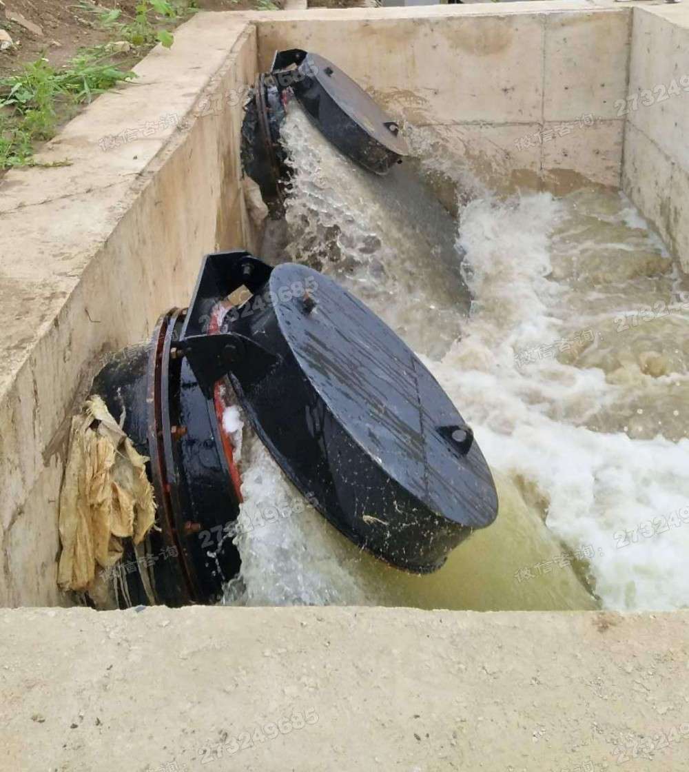 德化县河道排水拍门
