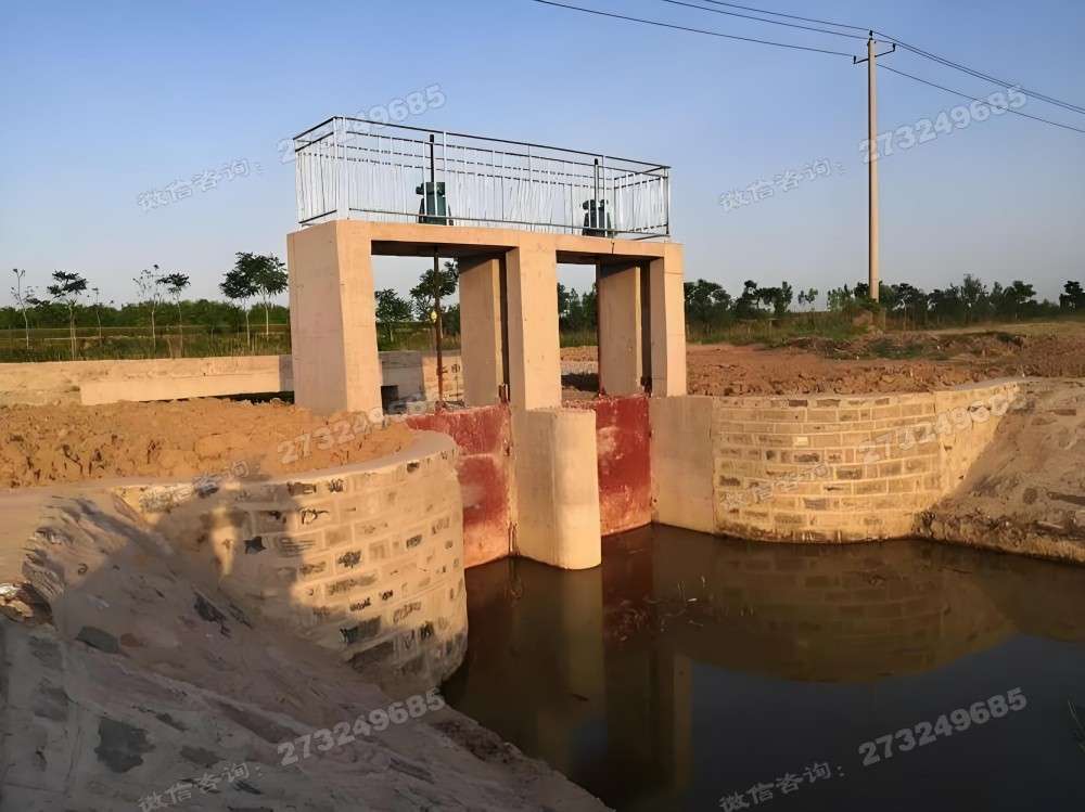 莱阳双孔进水闸门