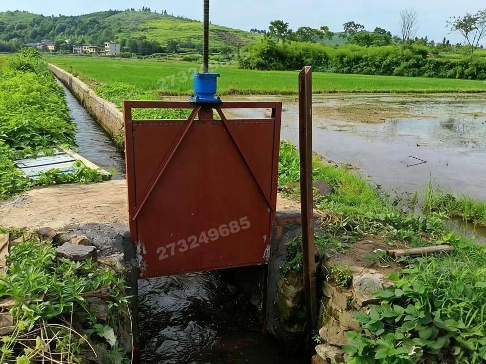 昌邑水稻田铸铁闸门