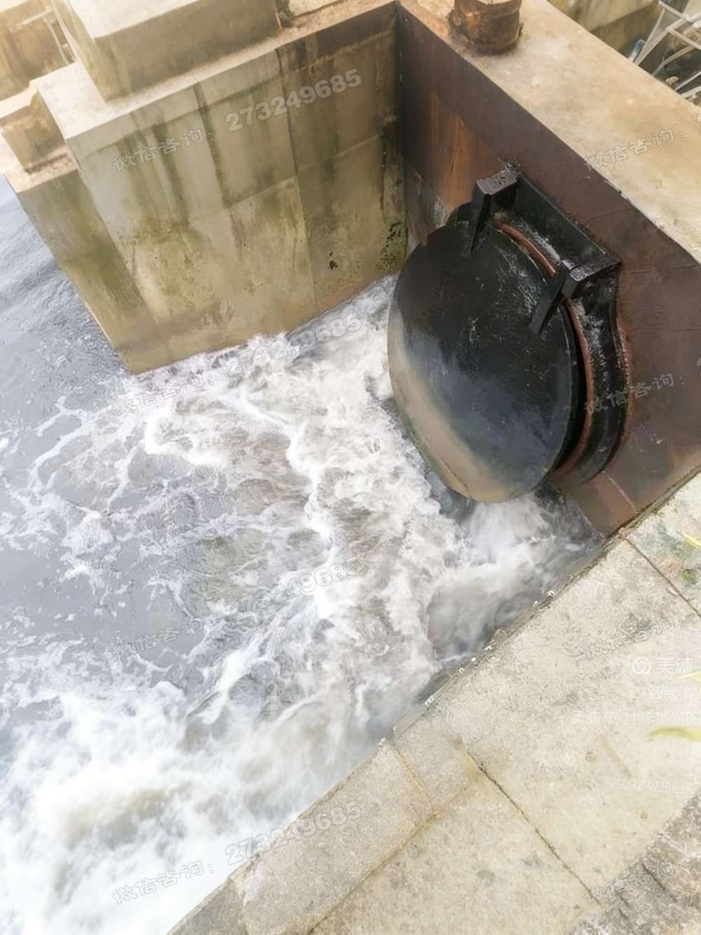 盐山黑色铸铁排水拍门