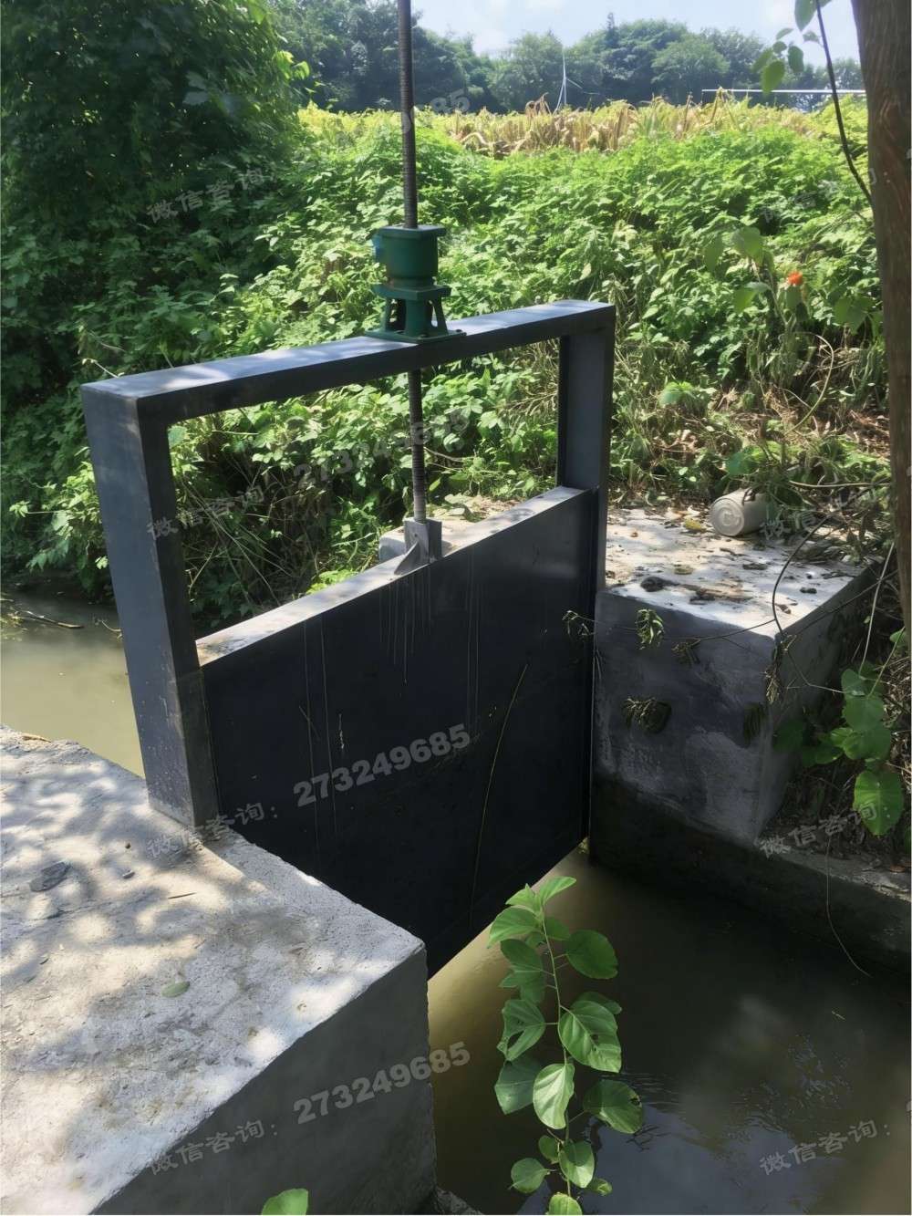 龙潭菜园灌溉钢制闸门