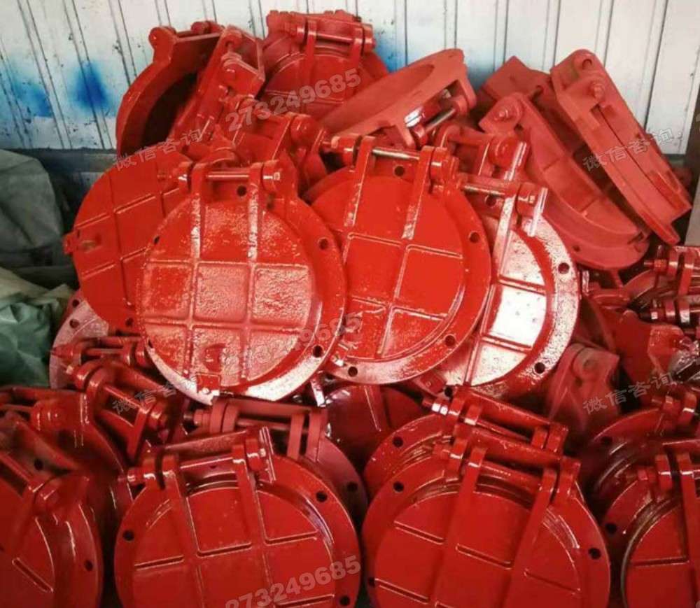 广安多型号铸铁拍门