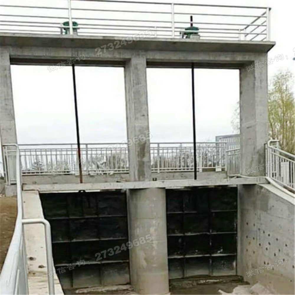 江干泵站双孔铸铁闸门